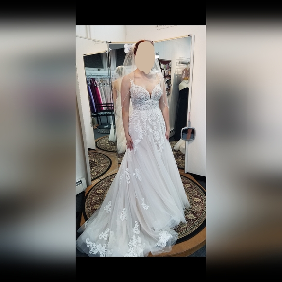 Wedding Dress with Cathedral Length Veil - Picture 5 of 7